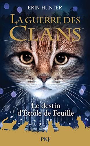 Le destin d'Etoile de Feuille