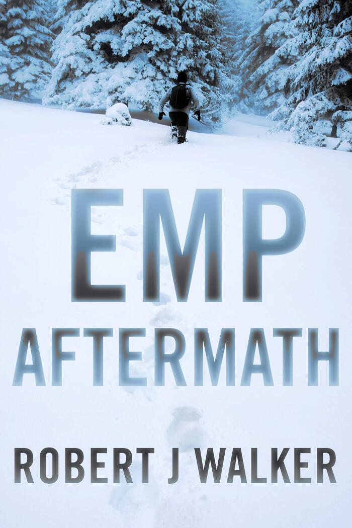 EMP Aftermath: EMP Survival in a Powerless World Boxset