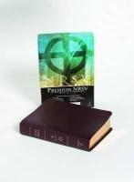 NRSV Bible: Burgundy