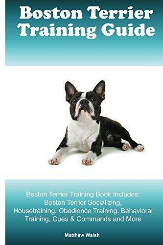 Boston Terrier Training Guide. Boston Terrier Training Book Includes: Boston Terrier Socializing, Housetraining, Obedience Training, Behavioral Training, Cues & Commands and More