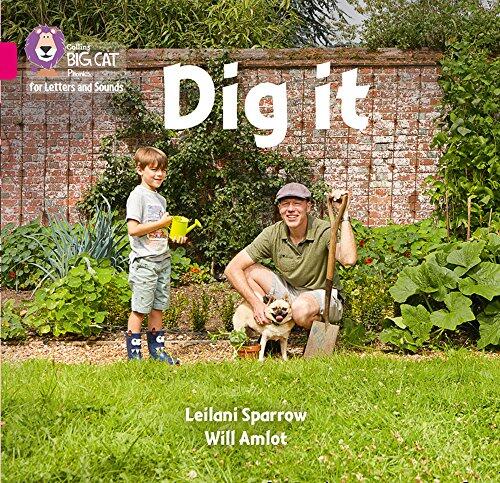 Dig It: Band 1B/Pink B