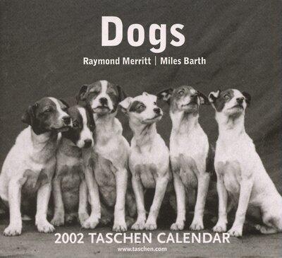 Dogs Tear-off Calendar: 2002