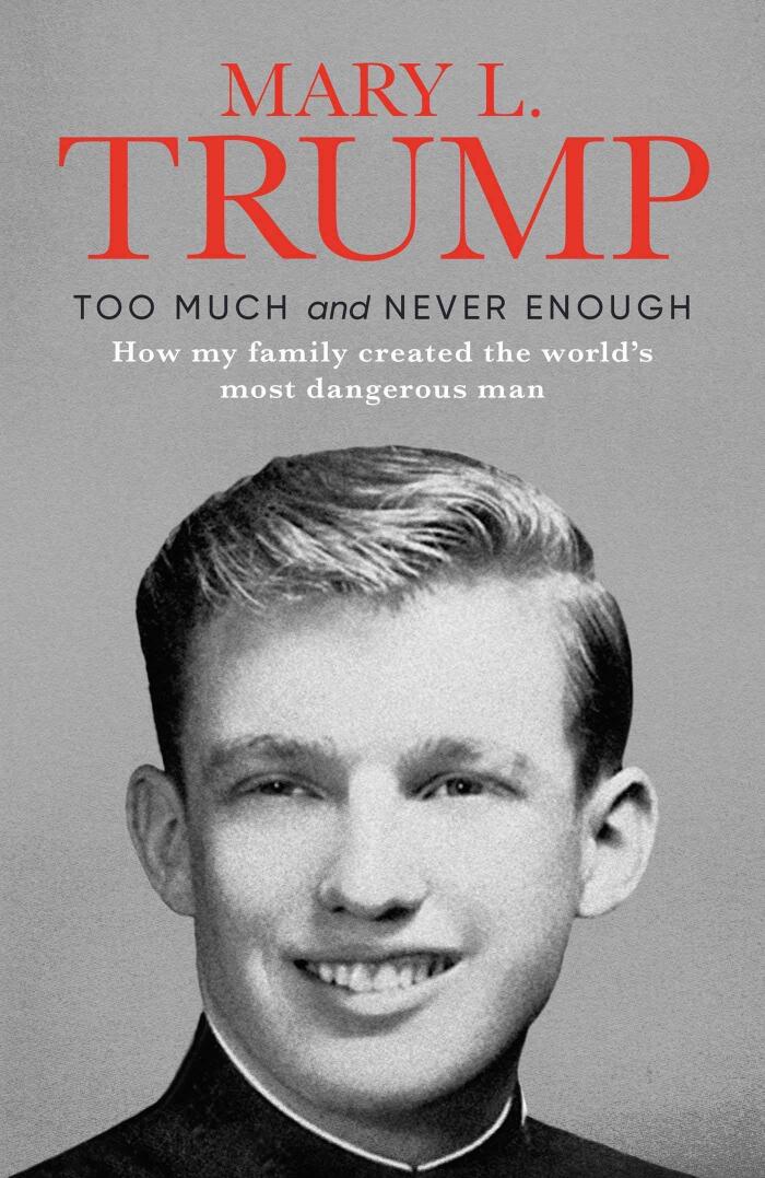 The Secret Political Adviser By Michael Spicer & Too Much and Never Enough By Mary L. Trump Ph.D. 2 Books Collection Set