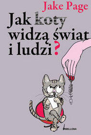Jak koty widzą świat i ludzi?