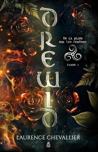 Drewid, tome 1: De la pluie sur les cendres
