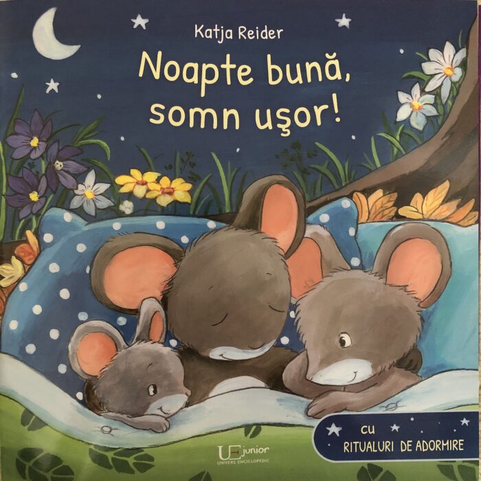 Noapte buna, somn usor!