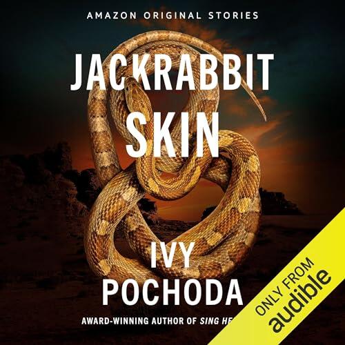 Jackrabbit Skin