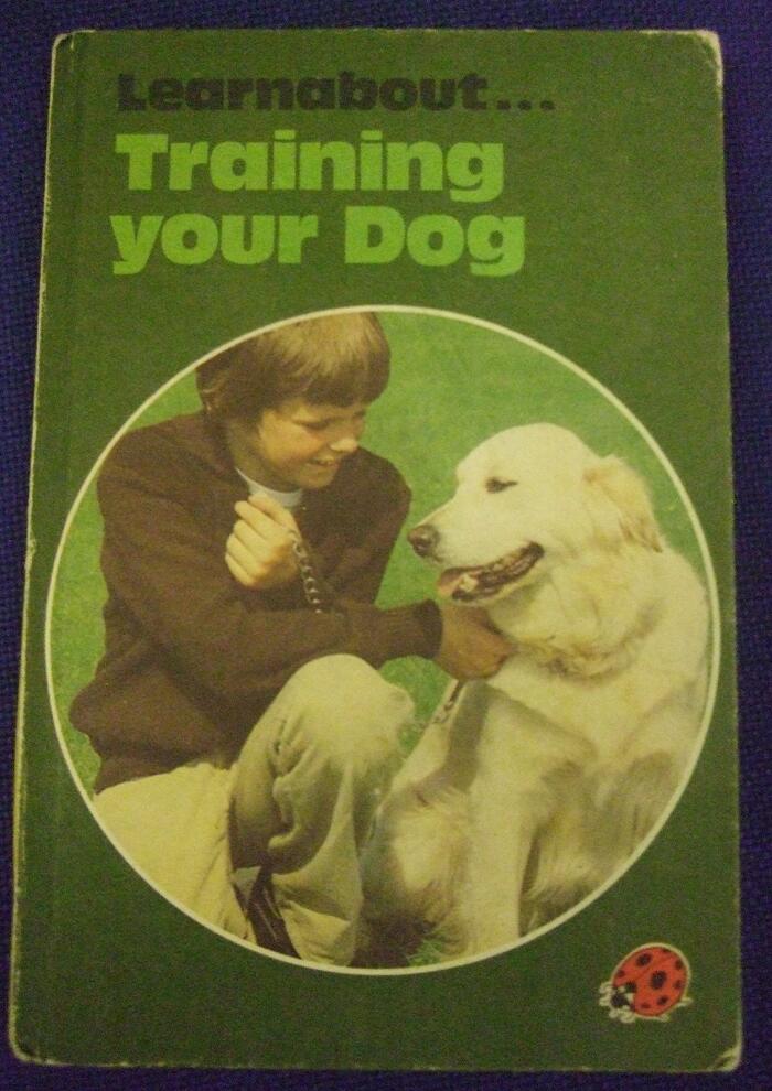 Training Your Dog