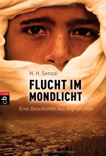 Flucht im Mondlicht