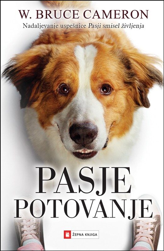 Pasje potovanje